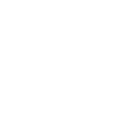 Ve Plus